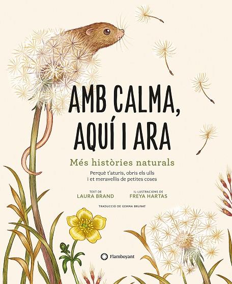 AMB CALMA, AQUÍ I ARA | 9788419401120 | BRAND, LAURA | Galatea Llibres | Llibreria online de Reus, Tarragona | Comprar llibres en català i castellà online