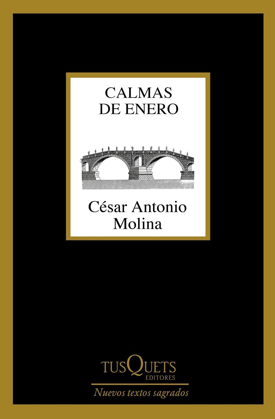 CALMAS DE ENERO | 9788490664704 | MOLINA, CéSAR ANTONIO | Galatea Llibres | Llibreria online de Reus, Tarragona | Comprar llibres en català i castellà online