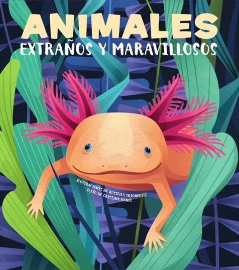 ANIMALES EXTRAÑOS Y MARAVILLOSOS | 9788468270678 | BANFI, CRISTINA | Galatea Llibres | Llibreria online de Reus, Tarragona | Comprar llibres en català i castellà online