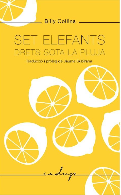SET ELEFANTS DRETS SOTA LA PLUJA | 9788494943218 | COLLINS, BILLY | Galatea Llibres | Llibreria online de Reus, Tarragona | Comprar llibres en català i castellà online