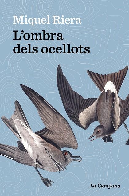 L’OMBRA DELS OCELLOTS | 9788419245175 | RIERA, MIQUEL | Galatea Llibres | Llibreria online de Reus, Tarragona | Comprar llibres en català i castellà online
