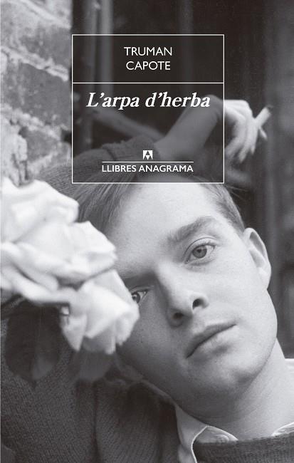 L'ARPA D'HERBA | 9788433915481 | CAPOTE, TRUMAN | Galatea Llibres | Llibreria online de Reus, Tarragona | Comprar llibres en català i castellà online