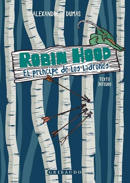ROBIN HOOD | 9788412340877 | DUMAS, ALEXANDRE | Galatea Llibres | Llibreria online de Reus, Tarragona | Comprar llibres en català i castellà online