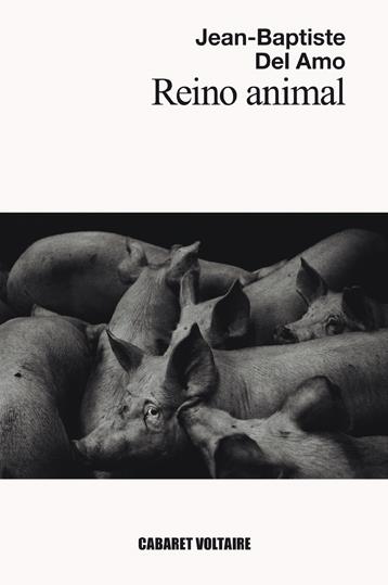 REINO ANIMAL | 9788494710827 | DEL AMO, JEAN-BAPTISTE | Galatea Llibres | Llibreria online de Reus, Tarragona | Comprar llibres en català i castellà online