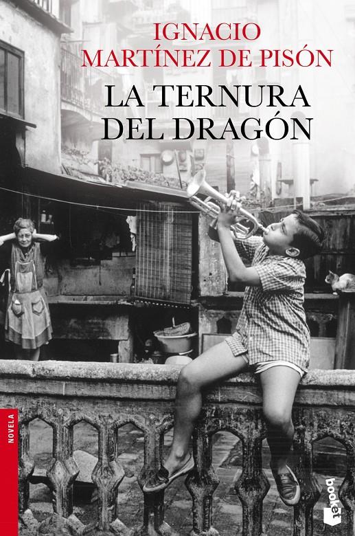 TERNURA DEL DRAGON | 9788432250989 | MARTINEZ DE PISON, IGNACIO | Galatea Llibres | Llibreria online de Reus, Tarragona | Comprar llibres en català i castellà online