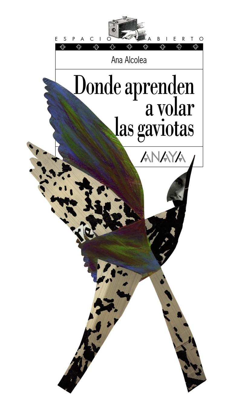 DONDE APRENDEN A VOLAR LAS GAVIOTAS | 9788466762489 | ALCOLEA, ANA | Galatea Llibres | Llibreria online de Reus, Tarragona | Comprar llibres en català i castellà online
