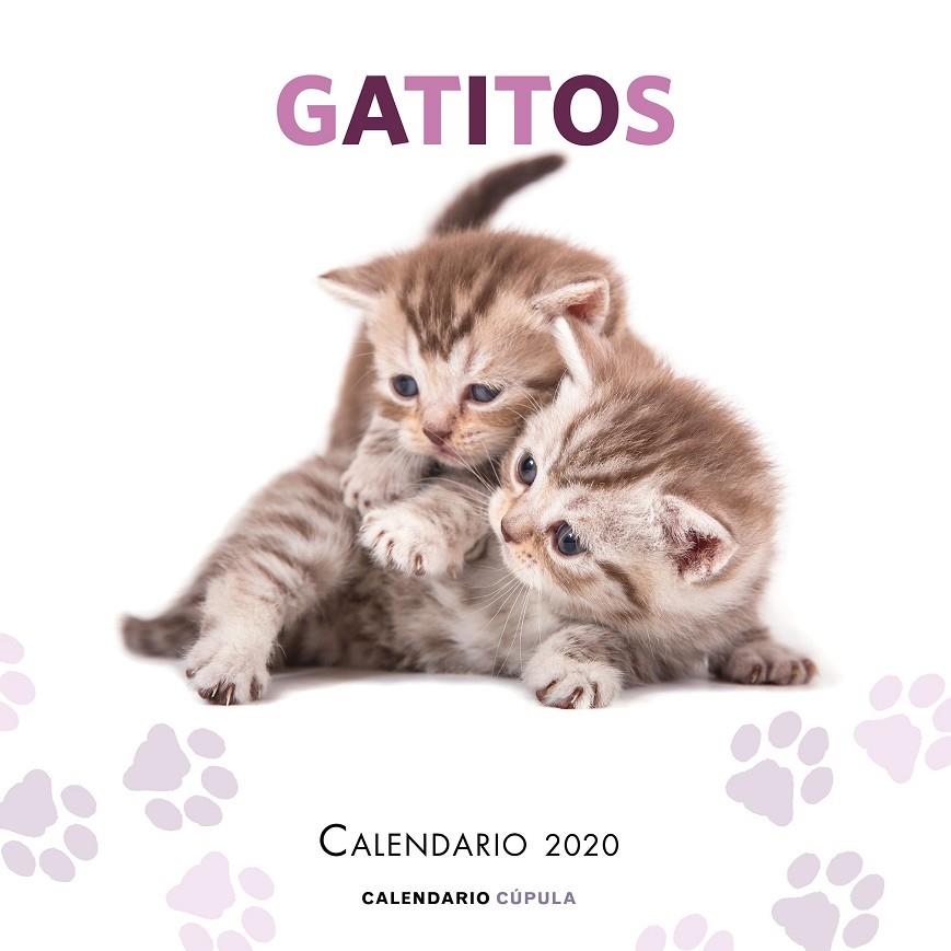 CALENDARIO GATITOS 2020 | 9788448026165 | AA. VV. | Galatea Llibres | Llibreria online de Reus, Tarragona | Comprar llibres en català i castellà online