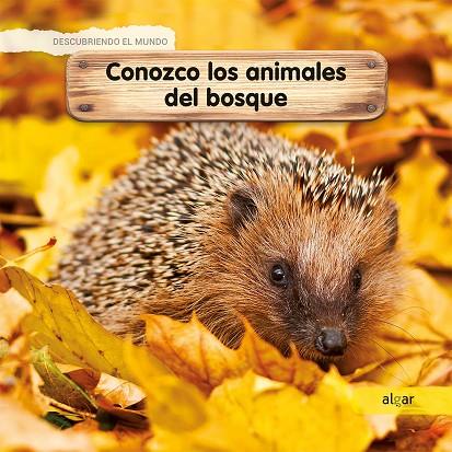 CONOZCO LOS ANIMALES DEL BOSQUE | 9788491422938 | LAMOUR-CROCHET, CÉLINE | Galatea Llibres | Llibreria online de Reus, Tarragona | Comprar llibres en català i castellà online