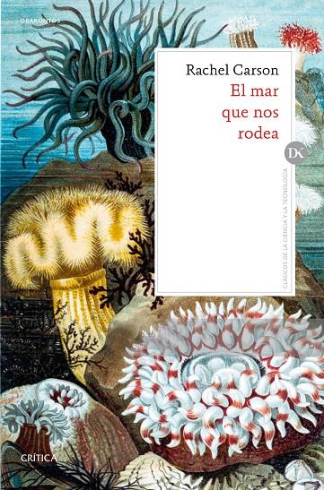 EL MAR QUE NOS RODEA | 9788491991069 | CARSON, RACHEL | Galatea Llibres | Llibreria online de Reus, Tarragona | Comprar llibres en català i castellà online