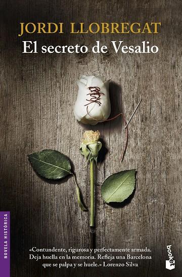 EL SECRETO DE VESALIO | 9788423351480 | LLOBREGAT, JORDI | Galatea Llibres | Llibreria online de Reus, Tarragona | Comprar llibres en català i castellà online