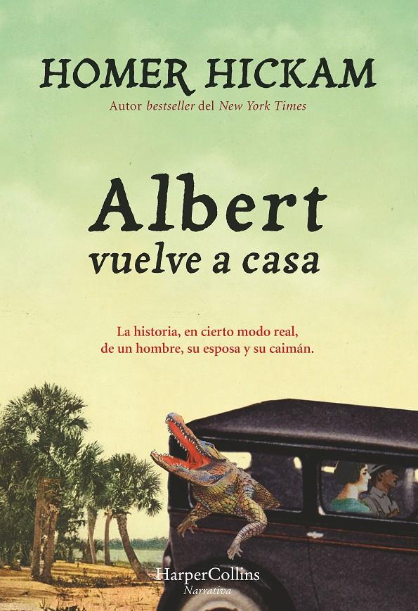 ALBERT VUELVE A CASA | 9788416502165 | HICKAM, HOMER | Galatea Llibres | Llibreria online de Reus, Tarragona | Comprar llibres en català i castellà online