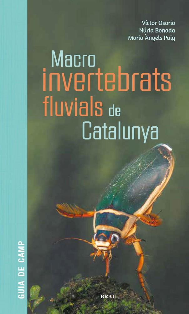 MACROINVERTEBRATS FLUVIALS DE CATALUNYA | 9788418096204 | OSORIO ÁLVAREZ, VÍCTOR/PUIG GARCÍA, M. ÁNGELES/BONADA CAPARRÓS, NÚRIA | Galatea Llibres | Llibreria online de Reus, Tarragona | Comprar llibres en català i castellà online