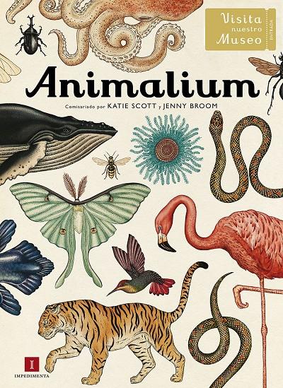 ANIMALIUM | 9788415979463 | KATIE SCOTT - JENNY BROOM | Galatea Llibres | Llibreria online de Reus, Tarragona | Comprar llibres en català i castellà online