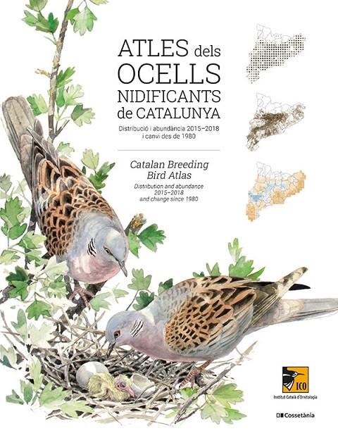 ATLES DELS OCELLS NIDIFICANTS DE CATALUNYA | 9788413560939 | VV.AA. | Galatea Llibres | Llibreria online de Reus, Tarragona | Comprar llibres en català i castellà online