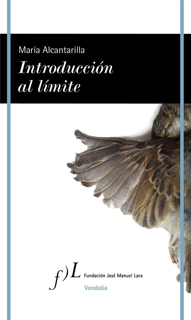 INTRODUCCIÓN AL LÍMITE | 9788417453176 | ALCANTARILLA, MARÍA | Galatea Llibres | Llibreria online de Reus, Tarragona | Comprar llibres en català i castellà online