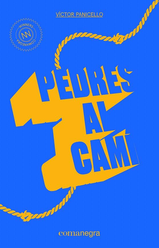 PEDRES AL CAMÍ | 9788416605521 | PANICELLO, VÍCTOR | Galatea Llibres | Llibreria online de Reus, Tarragona | Comprar llibres en català i castellà online