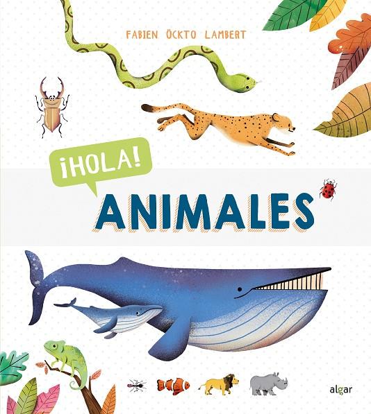HOLA! ANIMALES | 9788491423102 | ÖCKTO LAMBERT, FABIEN | Galatea Llibres | Llibreria online de Reus, Tarragona | Comprar llibres en català i castellà online