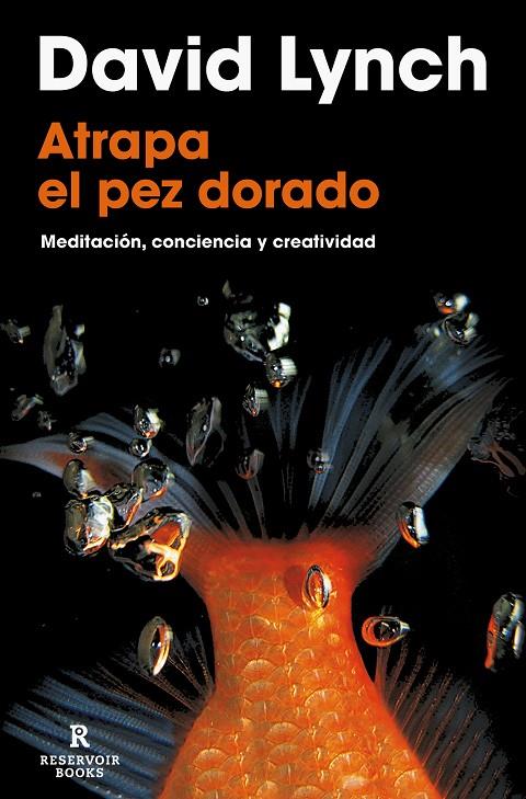 ATRAPA EL PEZ DORADO | 9788418897436 | LYNCH, DAVID | Galatea Llibres | Llibreria online de Reus, Tarragona | Comprar llibres en català i castellà online