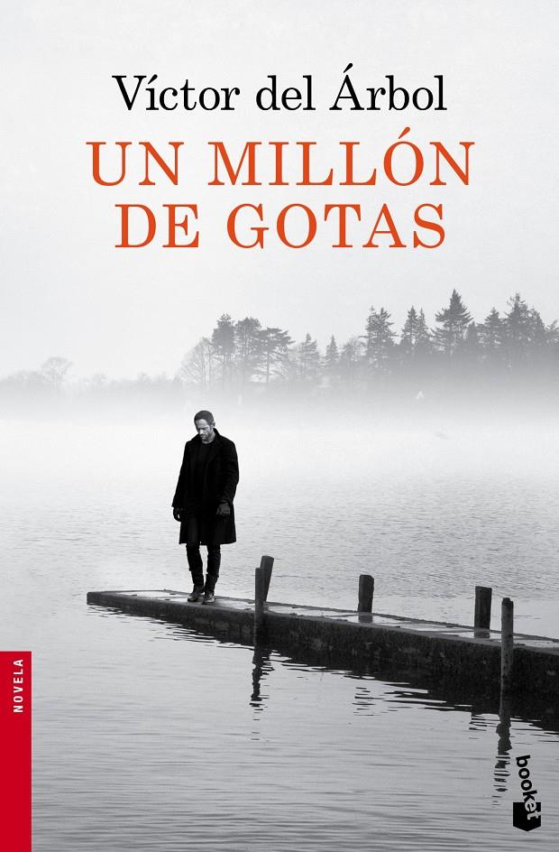UN MILLÓN DE GOTAS | 9788423349418 | DEL ÁRBOL, VICTOR | Galatea Llibres | Llibreria online de Reus, Tarragona | Comprar llibres en català i castellà online