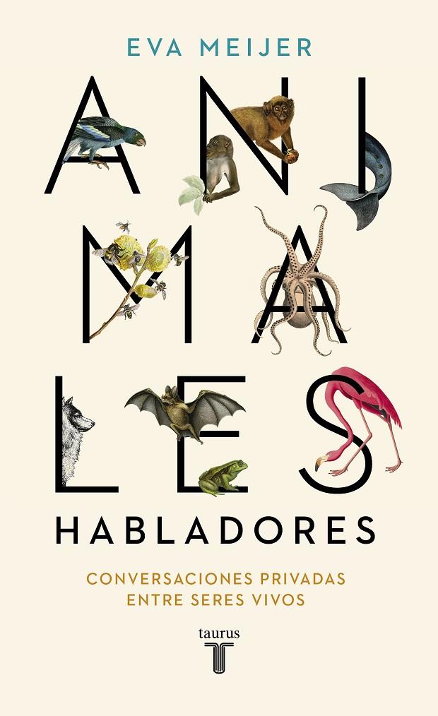 ANIMALES HABLADORES | 9788430623600 | MEIJER, EVA | Galatea Llibres | Llibreria online de Reus, Tarragona | Comprar llibres en català i castellà online