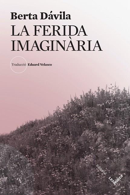 LA FERIDA IMAGINÀRIA | 9788412639483 | DÁVILA, BERTA | Galatea Llibres | Llibreria online de Reus, Tarragona | Comprar llibres en català i castellà online
