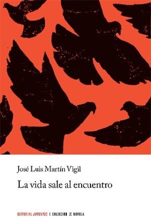 LA VIDA SALE AL ENCUENTRO | 9788426109859 | MARTIN VIGIL, JOSE LUIS | Galatea Llibres | Llibreria online de Reus, Tarragona | Comprar llibres en català i castellà online