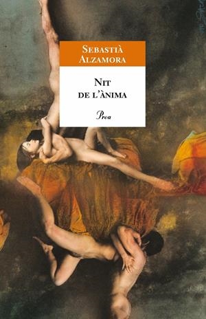 NIT DE L'ANIMA, LA | 9788484370321 | ALZAMORA, SEBASTIA | Galatea Llibres | Llibreria online de Reus, Tarragona | Comprar llibres en català i castellà online