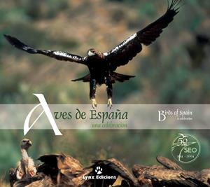 AVES DE ESPAÑA | 9788487334566 | LYNX EDICIONS/VARIOS AUTORES | Galatea Llibres | Llibreria online de Reus, Tarragona | Comprar llibres en català i castellà online