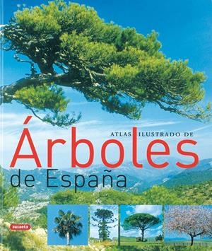 ATLAS ILUSTRADO DE ARBOLES DE ESPAÑA | 9788430558445 | VARIOS AUTORES | Galatea Llibres | Librería online de Reus, Tarragona | Comprar libros en catalán y castellano online
