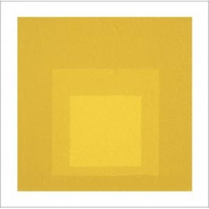 JOSEF ALBERS | 9788492480388 | WEBER, NICHOLAS FOX | Galatea Llibres | Llibreria online de Reus, Tarragona | Comprar llibres en català i castellà online