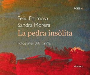 PEDRA INSOLITA | 9788495623898 | FORMOSA, FELIU/ MORERA, SANDRA | Galatea Llibres | Librería online de Reus, Tarragona | Comprar libros en catalán y castellano online