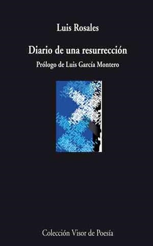 DIARIO DE UNA RESURRECCIÓN | 9788498957440 | ROSALES, LUIS | Galatea Llibres | Librería online de Reus, Tarragona | Comprar libros en catalán y castellano online