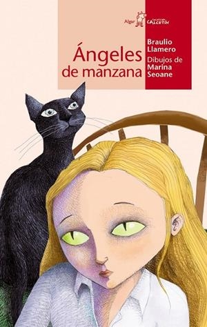 ANGELES DE MANZANA | 9788495722751 | BRAULIO LLAMERO CRESPO | Galatea Llibres | Llibreria online de Reus, Tarragona | Comprar llibres en català i castellà online