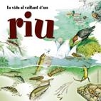 VIDA AL VOLTANT D'UN RIU, LA | 9788497913409 | CUCCHIARINI, FERRUCCIO | Galatea Llibres | Llibreria online de Reus, Tarragona | Comprar llibres en català i castellà online