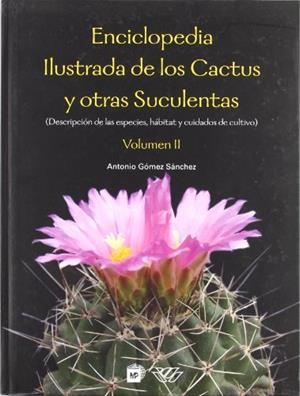 ENCICLOPEDIA ILUSTRADA DE LOS CACTUS Y OTRAS SUCULENTAS VOL2 | 9788484762782 | GOMEZ SANCHEZ, ANTONIO | Galatea Llibres | Librería online de Reus, Tarragona | Comprar libros en catalán y castellano online