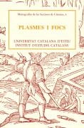 PLASMES I FOCS | 9788472831797 | Galatea Llibres | Llibreria online de Reus, Tarragona | Comprar llibres en català i castellà online