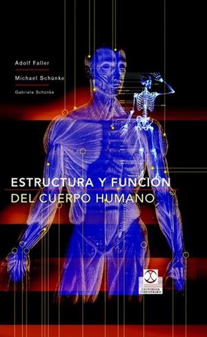 ESTRUCTURA Y FUNCION DEL CUERPO HUMANO | 9788480198677 | FALLER, ADOLF | Galatea Llibres | Librería online de Reus, Tarragona | Comprar libros en catalán y castellano online