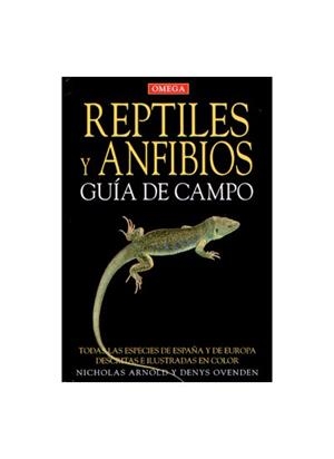 REPTILES Y ANFIBIOS, GUIA DE CAMPO | 9788428212533 | ARNOLD, NICHOLAS | Galatea Llibres | Llibreria online de Reus, Tarragona | Comprar llibres en català i castellà online