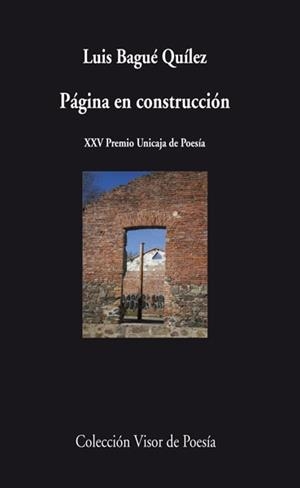 PAGINA EN CONSTRUCCION | 9788498957778 | BAGUÉ QUÍLEZ, LUIS | Galatea Llibres | Librería online de Reus, Tarragona | Comprar libros en catalán y castellano online