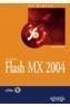 FLASH MX 2004 | 9788441517028 | ISSI CAMY, LAZARO | Galatea Llibres | Llibreria online de Reus, Tarragona | Comprar llibres en català i castellà online