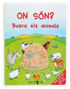 ON SON? BUSCA ELS ANIMALS | 9788466109611 | STOCKHAM, JESS | Galatea Llibres | Llibreria online de Reus, Tarragona | Comprar llibres en català i castellà online