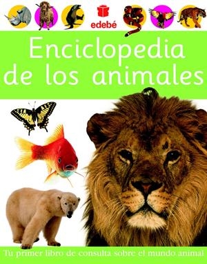 ENCICLOPEDIA DE LOS ANIMALES | 9788423674428 | BUENO MATEOS, BEATRIZ ,   TR. | Galatea Llibres | Llibreria online de Reus, Tarragona | Comprar llibres en català i castellà online