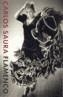 FLAMENCO | 9788481094565 | SAURA, CARLOS | Galatea Llibres | Llibreria online de Reus, Tarragona | Comprar llibres en català i castellà online