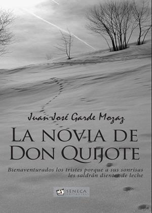 NOVIA DE DON QUIJOTE, LA | 9788493569747 | GARDE MOZAZ, JUAN JOSÉ | Galatea Llibres | Librería online de Reus, Tarragona | Comprar libros en catalán y castellano online