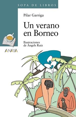 VERANO EN BORNEO, UN | 9788466784283 | GARRIGA ANGUERA, PILAR | Galatea Llibres | Librería online de Reus, Tarragona | Comprar libros en catalán y castellano online