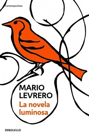 LA NOVELA LUMINOSA | 9788499080260 | LEVRERO, JORGE MARIO | Galatea Llibres | Llibreria online de Reus, Tarragona | Comprar llibres en català i castellà online
