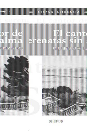 CANTOR DE SERENATAS SIN ALMA | 9788496483835 | LANZARO, GUSTAVO | Galatea Llibres | Librería online de Reus, Tarragona | Comprar libros en catalán y castellano online