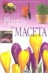 PLANTAS EN MACETA | 9788430567584 | Galatea Llibres | Llibreria online de Reus, Tarragona | Comprar llibres en català i castellà online