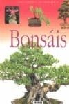 BONSAIS | 9788430567652 | Galatea Llibres | Llibreria online de Reus, Tarragona | Comprar llibres en català i castellà online