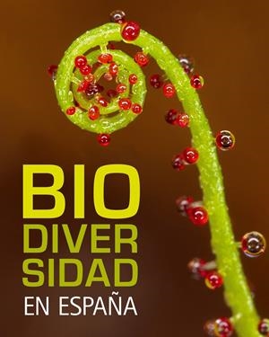 BIODIVERSIDAD EN ESPAÑA ESP-ING | 9788497856317 | ARAUJO, JOAQUIN | Galatea Llibres | Llibreria online de Reus, Tarragona | Comprar llibres en català i castellà online